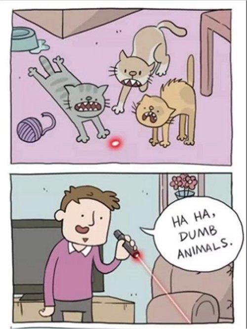 18275_dumb%20animals%20majorgeeks1.jpg