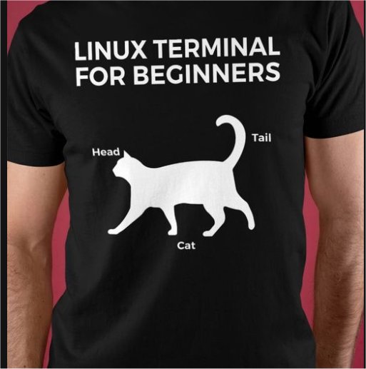 18501_caturdaylinux%20majorgeeks.jpg