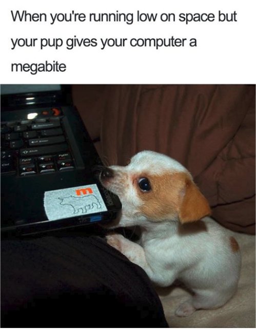 12740_megabite%20majorgeeks.jpg
