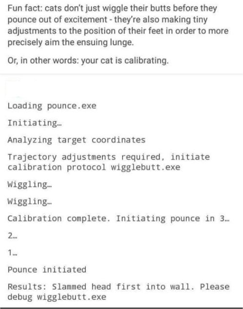 12709_calibrating%20caturday%20majorgeeks.jpg