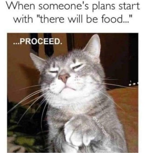 18885_caturday%20plans%20majorgeeks.jpg
