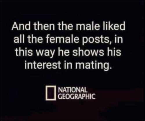 17420_natty%20geo%20majorgeeks.jpg