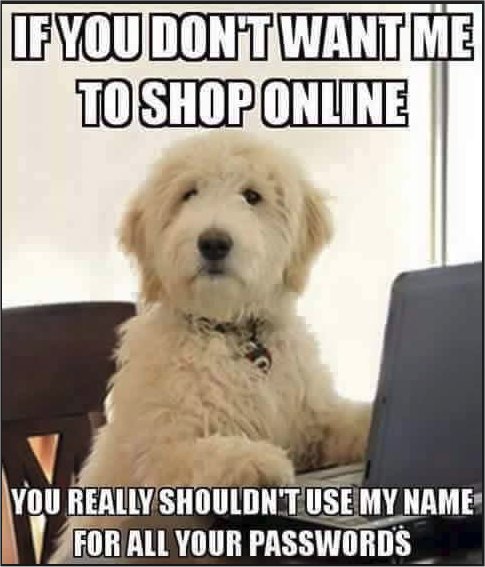 12214_dog%20majorgeeks.jpg