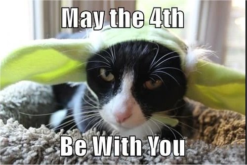 19508_may%204%20caturday%20majorgeeks13.jpg