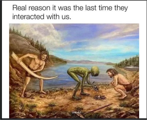 18407_real%20reason%20majorgeeks.jpg