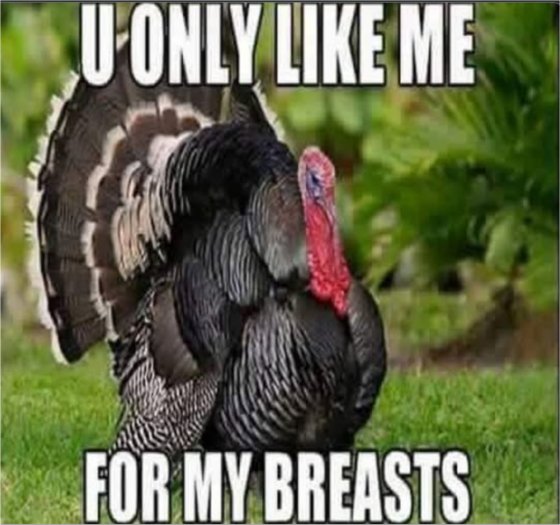 20186_turk%20majorgeeks.jpg