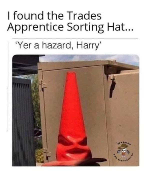 19229_sorting-hat-hazard.jpg