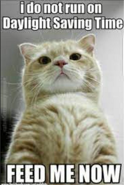 18841_caturday%20time%20change%20majorgeeks.jpg
