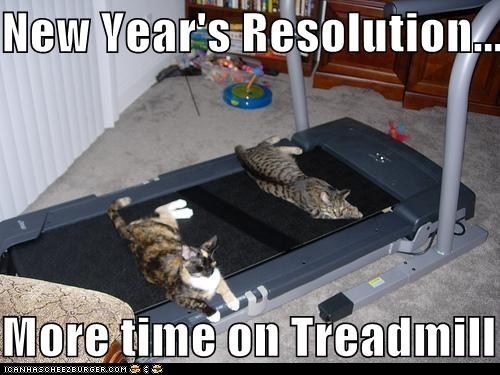 post-12727-New-Year-Resolution-meme-more-LPAU.jpeg