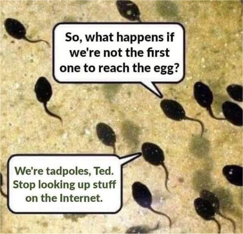 19620_9internet%20search%20majorgeeks.jpg