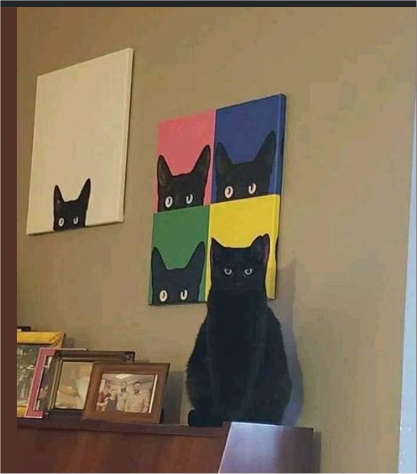 17378_caturday%20art%20majorgeeks.jpg
