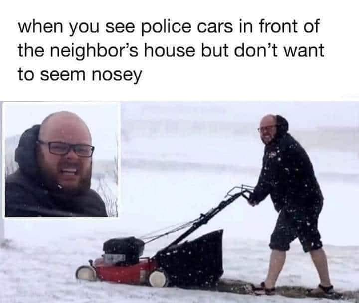 17781_nosey.jpg