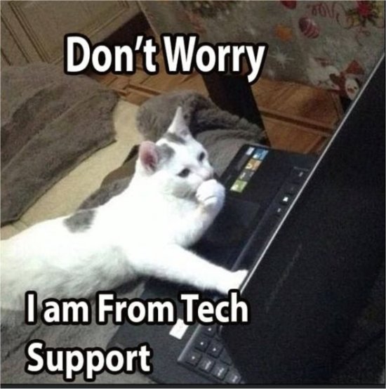 20203_caturday%20tech%20majorgeeks.jpg