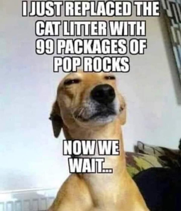 19082_nowwewait.jpg