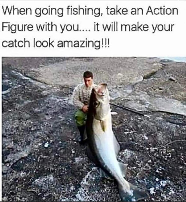 18029_fish-story1.jpg