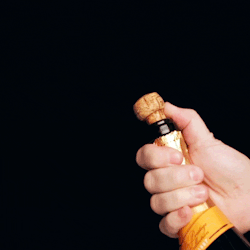 tumblr_nhcnv8QoEj1rwd9c5o1_250.gif