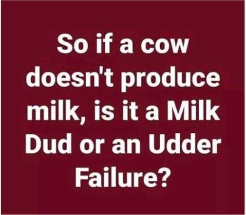 13188_cow%20majorgeeks.jpg