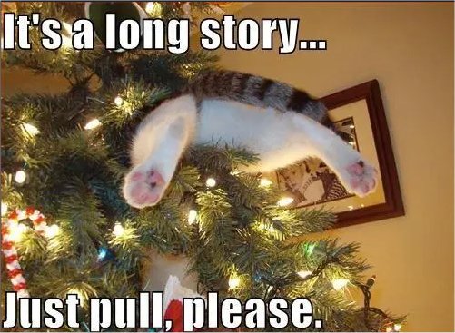20250_long%20story%20caturday%20majorgeeks.jpg