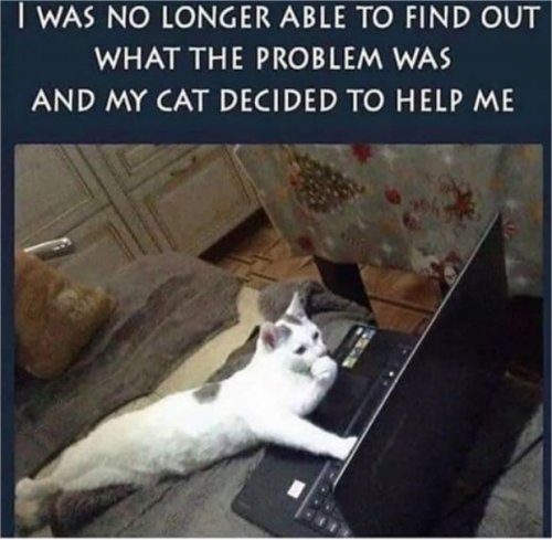 16661_problem%20caturday%20majorgeeks.jpg
