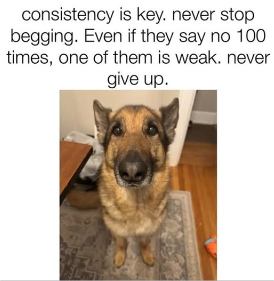 20959_consistency%20majorgeeks.jpg