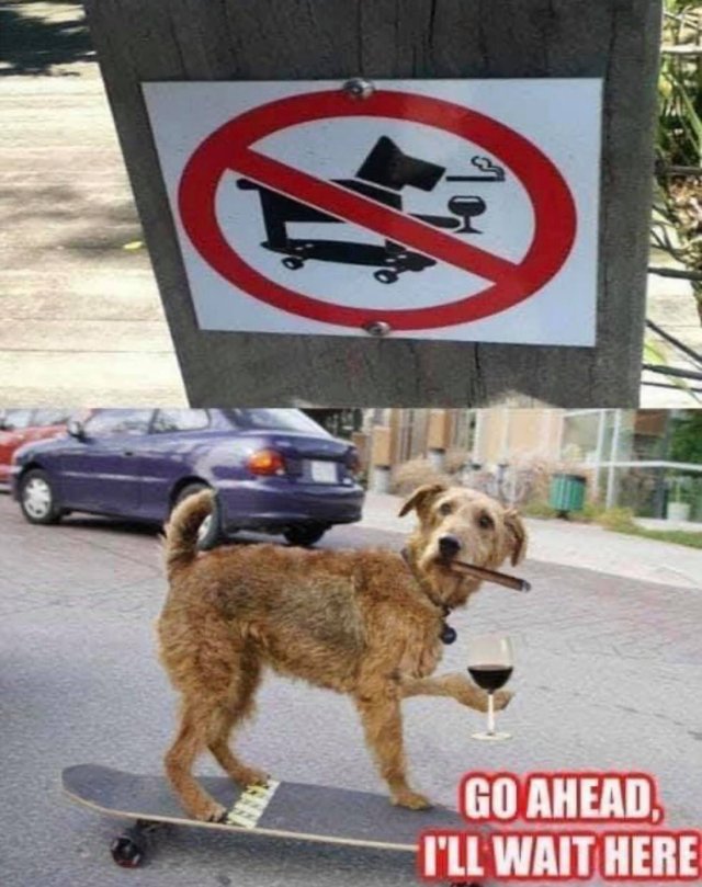 15863_random%20photo%20denied%20majorgeeks.jpg