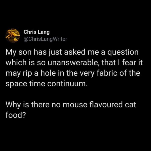 14884_random%20photo%20cat%20food%20conundrum.jpg