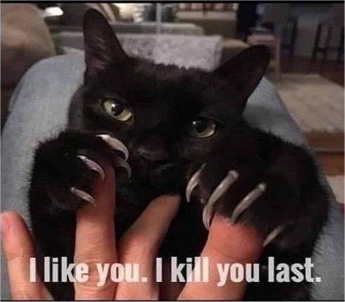 16804_kill%20last%20caturday%20majorgeeks.jpg