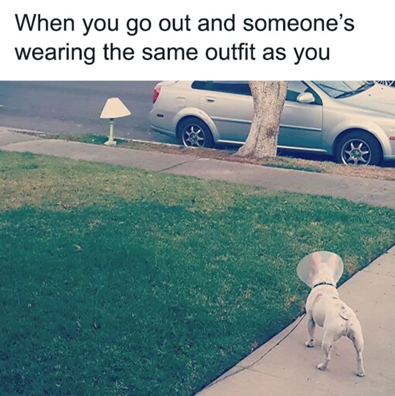 20999_dressed.jpg