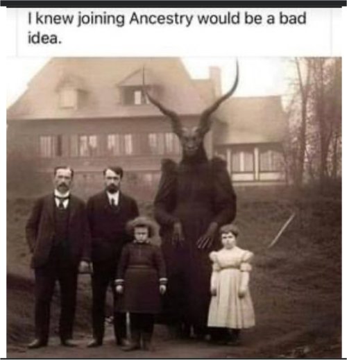 18723_ancestry%20majorgeeks.jpg