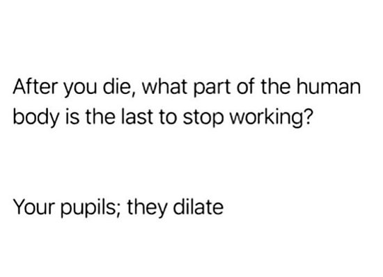 20602_dilate%20majorgeeks.jpg