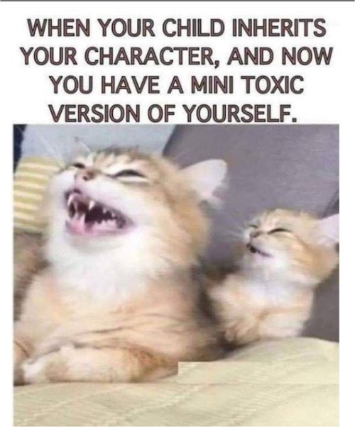 18419_toxic%20caturday%20majorgeeks.jpg