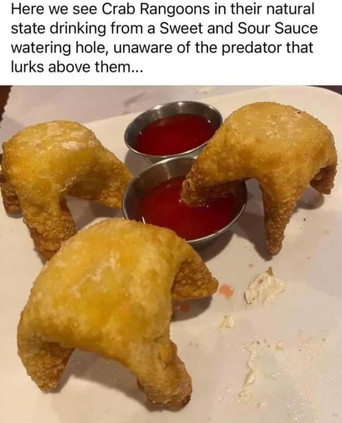 18877_crab%20majorgeeks.jpg