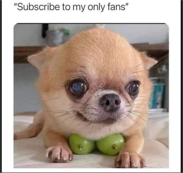 17560_only%20fans%20majorgeeks.jpg