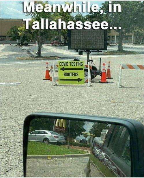 14503_meanwhile,%20in%20florida%20majorgeeks.jpg