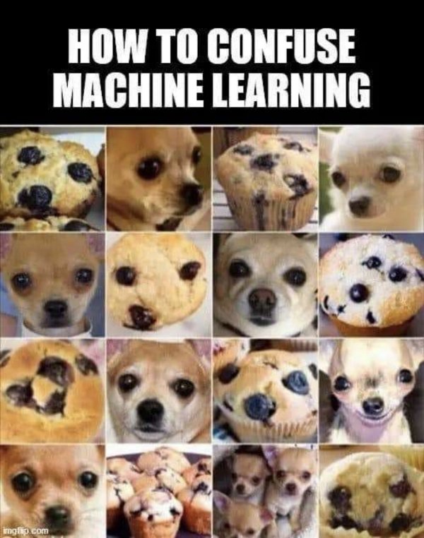 18569_ai.jpg