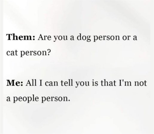 19963_dog%20or%20cat%20person%20majorgeeks.jpg