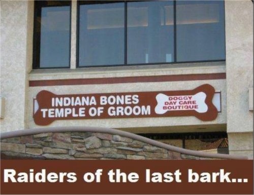 18324_indiana%20majorgeeks.jpg