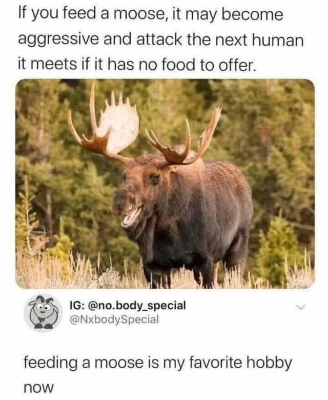 15491_feed%20the%20moose%20majorgeeks.jpg