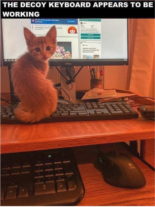 12842_keycaturday%20majorgeeks2.jpg