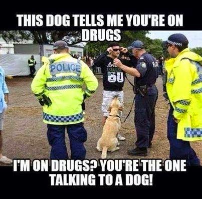 k-9_2.JPG