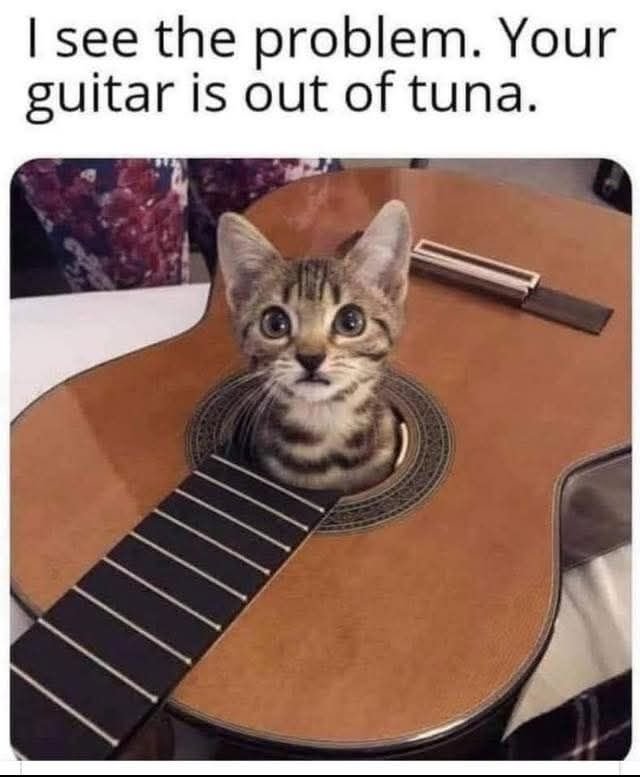 20997_guitar-problem.jpg