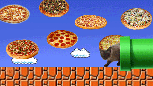 catpizzablogger.gif