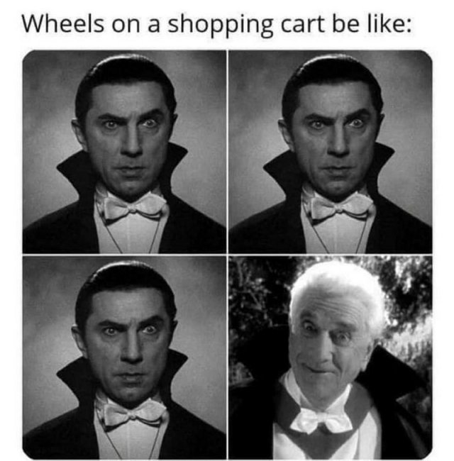 16280_249190652_6607764709241092_9026782219546594690_n.png