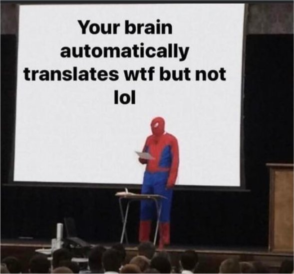 19563_your%20brain%20majorgeeks.jpg