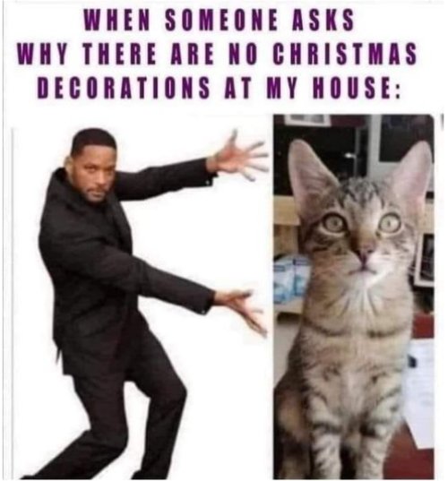 17662_xmas%20decoration%20caturday%20majorgeeks.jpg