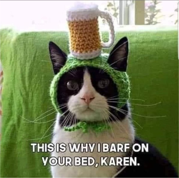 19308_st%20caturday%20majorgeeks.jpg