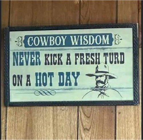 19793_wisdom%202%20majorgeeks.jpg