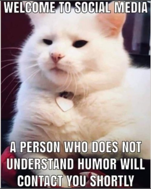 18417_caturday%20social%20media%20majorgeeks.jpg