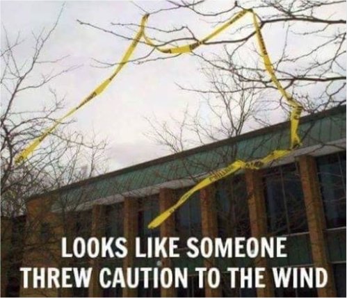 12562_caution%20to%20the%20wind%20majorgeeks.jpg