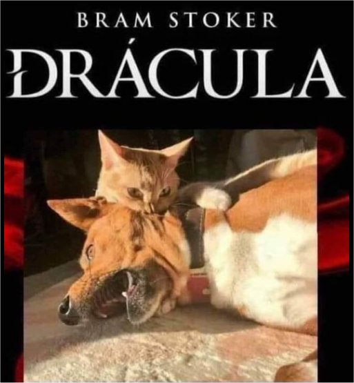 18802_caturday%20vampire%20majorgeeks.jpg